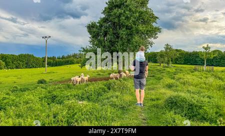 Familie, die Schafe auf dem Feld ansieht. Junge und junger Vater haben Spaß auf einer Farm. Stockfoto