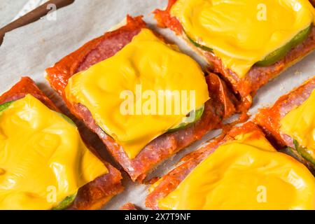 Italienische hausgemachte Pizzascheiben im Altoona-Stil mit Salami und amerikanischem Käse Stockfoto