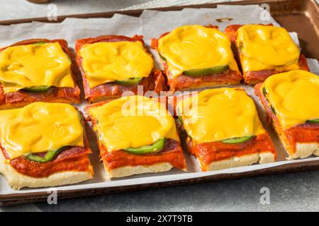 Italienische hausgemachte Pizzascheiben im Altoona-Stil mit Salami und amerikanischem Käse Stockfoto