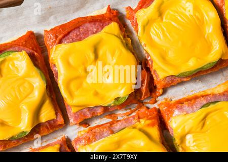 Italienische hausgemachte Pizzascheiben im Altoona-Stil mit Salami und amerikanischem Käse Stockfoto