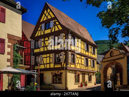 Verzierte traditionelle Fachwerkhäuser mit blühenden Blumen in einem beliebten Dorf an der elsässischen Weinstraße in Kaysersberg Vignoble, Frankreich Stockfoto