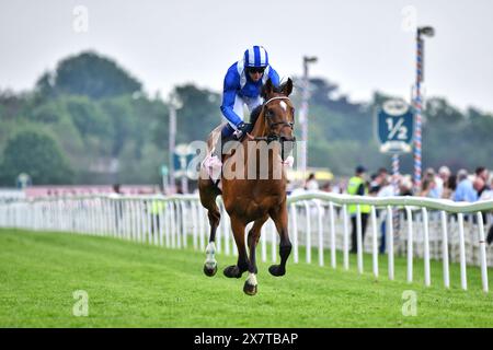 Pferd NAQEEB und Jockey JIM CROWLEY Stockfoto