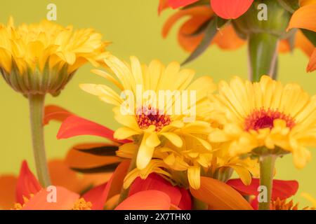 Ein bunter Blumenstrauß aus gelben Ringelblumen und orangen Tithonia-Blüten. Stockfoto