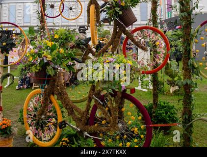 London, Großbritannien. Mai 2024. Recycelte Fahrräder mit Blumenauflagen im Belgravia in Bloom von Judith Blacklock auf der RHS Chelsea Flower Show in London. Quelle: Maureen McLean/Alamy Live News Stockfoto