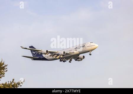 Flugzeug im Landeanflug, Flughafen Frankfurt, Fraport. REGISTRIERUNG: D-ABVZ, LUFTHANSA, BOEING 747-400. // 01.05.2024: Frankfurt am Main, Hessen, Deu Stockfoto