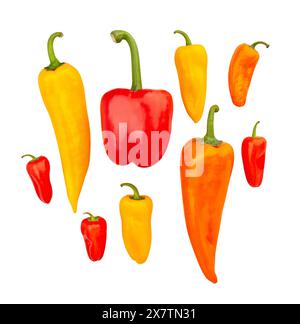 Paprika-Mischpfad isoliert auf weiß Stockfoto