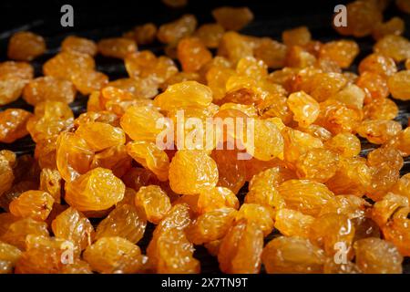 Gelbes Rosinenmakro auf schwarzem Holzhintergrund Stockfoto