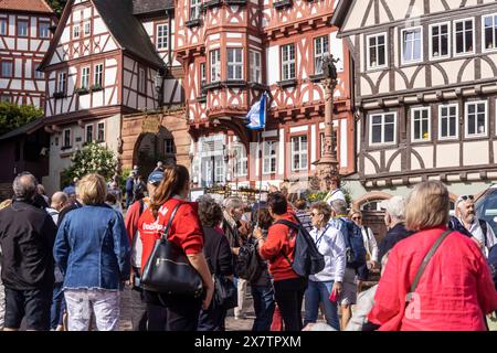 Reisegruppe am Marktplatz Miltenberg mit Marktbrunnen und prächtige Fachwerkhäuser, Schnatterloch. Das Ensemble zählt zu den meistfotografierten Motiven in Deutschland. // 02.05.2024: Miltenberg, Unterfranken, Bayern, Deutschland *** Tourgruppe am Miltenberger Marktplatz mit Marktbrunnen und prachtvollen Fachwerkhäusern, Schnatterloch das Ensemble ist eines der meistfotografierten Motive Deutschlands 02 05 2024 Miltenberg, Niederfranken, Bayern, Deutschland Stockfoto