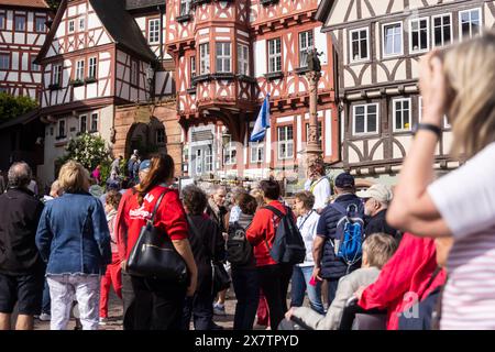 Reisegruppe am Marktplatz Miltenberg mit Marktbrunnen und prächtige Fachwerkhäuser, Schnatterloch. Das Ensemble zählt zu den meistfotografierten Motiven in Deutschland. // 02.05.2024: Miltenberg, Unterfranken, Bayern, Deutschland *** Tourgruppe am Miltenberger Marktplatz mit Marktbrunnen und prachtvollen Fachwerkhäusern, Schnatterloch das Ensemble ist eines der meistfotografierten Motive Deutschlands 02 05 2024 Miltenberg, Niederfranken, Bayern, Deutschland Stockfoto