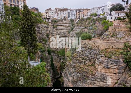 Der Fußweg und die Terrassen der Jardines de Cuenca entlang der Klippe des El Tajo de Ronda Canyon und des Guadalevin Flusses in Ronda, Provinz Malaga, Spanien. Die Brücke ragt 390 Meter über dem Fluss und dauerte von 1751 bis 1793. Stockfoto