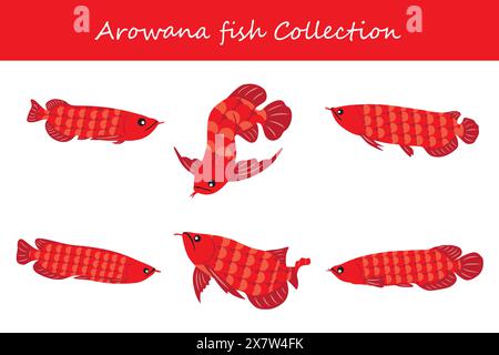 Arowana-Fischsammlung. Arowana-Fische in verschiedenen Stellungen. Vektorabbildung. Stock Vektor