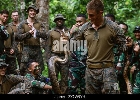 Bandar Lampung, Indonesien. Mai 2024. Zackary Wyant, ein Teamleiter der Charlie Company, Battalion Landing Team 1/5, 15. Marine Expeditionary Unit, hält während des Überlebenstrainings im Dschungel einen Boa Constrictor mit indonesischen Marines, die dem 9. Infanterie-Bataillon, 4. Marine Brigade, zugeteilt sind. während der Übung Cooperation afloat Readiness and Training (CARAT) Indonesia 24 in Bandar Lampung, Indonesien, 16. Mai 2024. Dieses Jahr ist die 30. Wiederholung von CARAT, einer multinationalen Übungsserie, die die Fähigkeit der US-Marine und der Partnerflotte verbessern soll, in der sie zusammenarbeiten kann Stockfoto