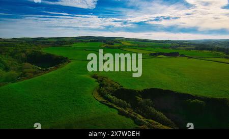 Blick aus der Vogelperspektive auf üppige grüne Felder und sanfte Hügel unter einem blauen Himmel mit verstreuten Wolken. Stockfoto