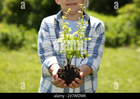 Kind, das Erde mit jungen grünen Bäumen im Freien hält, Nahaufnahme Stockfoto