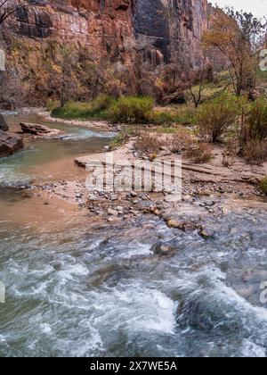 Virgin River Narrows, Riverside Walk, Zion National Park, Springdale, Utah. Stockfoto