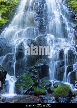 Fairy Falls, Columbia River Gorge National Scenic Area, Oregon. Stockfoto