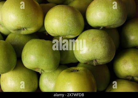 Frische, reife grüne Äpfel als Hintergrund, Draufsicht Stockfoto