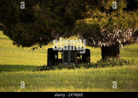 Canakkale, Türkei - 18. März 2024: Foto eines alten Traktormodells unter einem Baum im Dorf Seddulbahir auf der Halbinsel Gallipoli Stockfoto