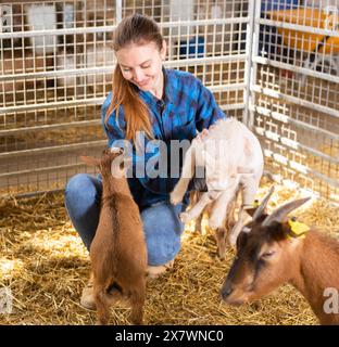 Junge Bäuerin, die im Stall mit Ziegenlingen spielt Stockfoto