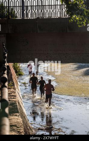 Merida, Spanien - 18. Mai 2024: FarinatoRace Merida 2024, Teilnehmer laufen entlang des Albarregas Stockfoto