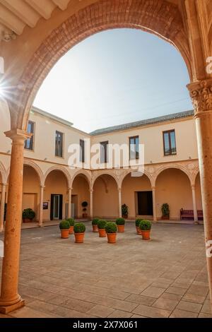 Der Innenhof des ehemaligen Convento de Santo Domingo mit Bogengängen in Ronda, Provinz Malaga, Spanien. Die ehemalige Kirche und das Kloster wurden zu einem Ausstellungsraum und Kunstzentrum restauriert. Stockfoto