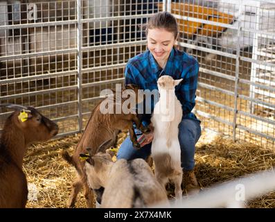 Bäuerin spielt mit kleinen Ziegenlingen Stockfoto