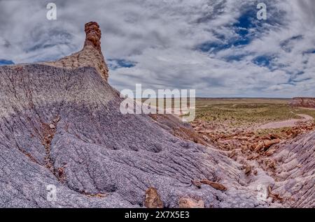 Ein Hoodoo-Turm im Tal unterhalb der Blue Mesa im Petrified Forest National Park Arizona, der aus bestimmten Blickwinkeln wie ein Horse Head geformt ist. Stockfoto