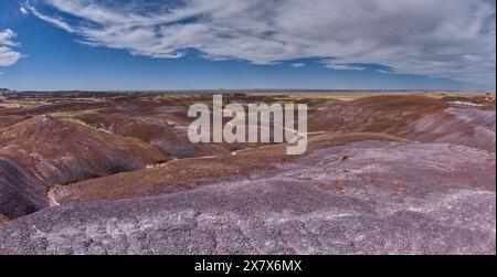 Das North Valley unterhalb der Blue Mesa im Petrified Forest National Park Arizona. Stockfoto