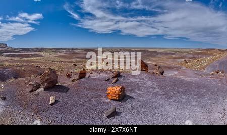 Blick auf das North Valley von unterhalb der Blue Mesa im Petrified Forest National Park Arizona. Stockfoto