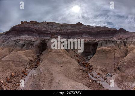 Eine flache Höhle, die aus einer Klippenwand unterhalb der Blue Mesa im Petrified Forest National Park Arizona geschnitzt wurde. Stockfoto