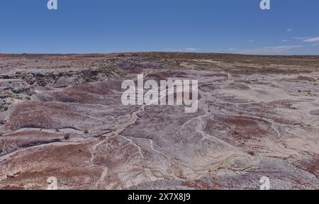 Graue Lehmblätter unterhalb des Anvil Hill westlich von Hamilili Point im Petrified Forest National Park Arizona. Stockfoto