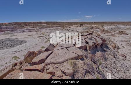 Graue Lehmblätter unterhalb des Anvil Hill westlich von Hamilili Point im Petrified Forest National Park Arizona. Stockfoto