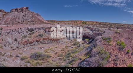 Ein trockener Wasserfall im Crystal Creek unterhalb von Crystal Mesa westlich von Hamilili Point im Petrified Forest National Park Arizona. Stockfoto