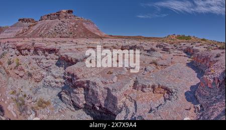 Ein trockener Wasserfall im Crystal Creek unterhalb von Crystal Mesa westlich von Hamilili Point im Petrified Forest National Park Arizona. Stockfoto