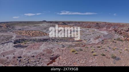 Blick vom Gipfel des Crystal Mesa westlich von Hamilili Point im Petrified Forest National Park Arizona. Stockfoto