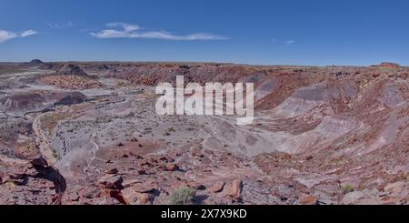 Blick vom Gipfel des Crystal Mesa westlich von Hamilili Point im Petrified Forest National Park Arizona. Stockfoto