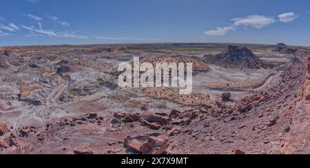 Blick vom Gipfel des Crystal Mesa westlich von Hamilili Point im Petrified Forest National Park Arizona. Stockfoto