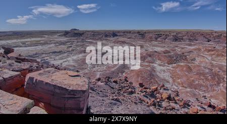 Blick vom Gipfel des Crystal Mesa westlich von Hamilili Point im Petrified Forest National Park Arizona. Stockfoto