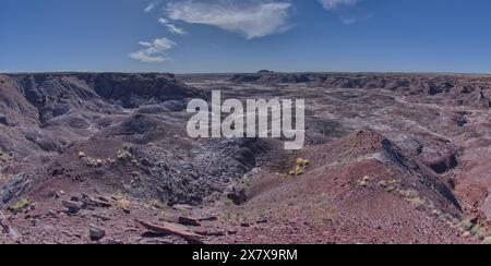 Blick vom Gipfel des Crystal Mesa westlich von Hamilili Point im Petrified Forest National Park Arizona. Stockfoto