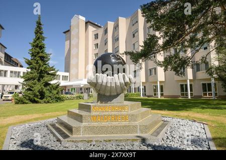 Krankenhaus Waldfriede, Argentinische Allee, Zehlendorf, Berlin, Deutschland *** Waldfriede Krankenhaus, Argentinische Allee, Zehlendorf, Berlin, Deutschland Stockfoto