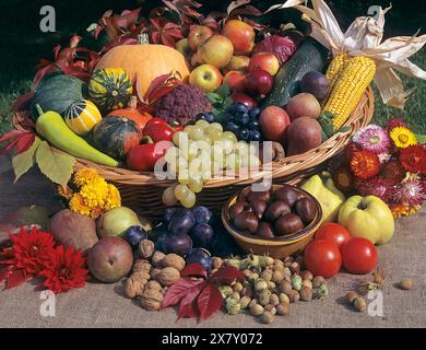 Herbstfrüchte in einem Korb angeordnet. Stockfoto