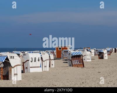 Sandstrand mit vielen weißen Liegen, einige nummeriert, blauer Himmel, Dünen und Strand am Meer mit Dünengras und Liegen vor blauem Himmel, S Stockfoto