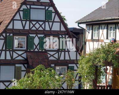 Nahaufnahme von Fachwerkhäusern mit auffälligen grünen Fensterläden, umgeben von Pflanzen, alten Fachwerkhäusern mit Blumenschmuck im Sommer, F Stockfoto