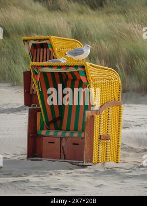 Eine gelbe Liege mit Möwe steht vor einer offenen Dünenlandschaft, bunte Liegen am Strand und in den Dünen unter einem Overcas Stockfoto