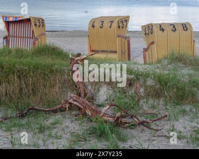 Mehrere Liegen an einem Sandstrand, im Vordergrund ein umgefallener Baumstamm und Gräser, Liegen an einem ruhigen Sandstrand am Meer, Wolken darüber Stockfoto