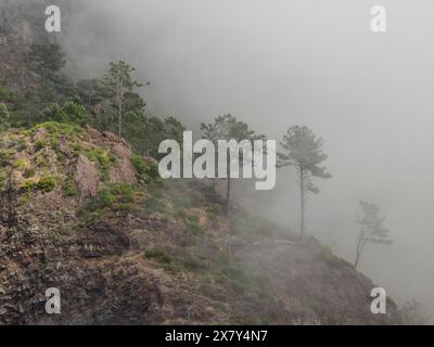 Eine mystische Berglandschaft mit Nebel und Bäumen auf steilen Klippen, Wolken über hohen Bergen mit kleinen Bergdörfern im Tal, Madeira, Por Stockfoto