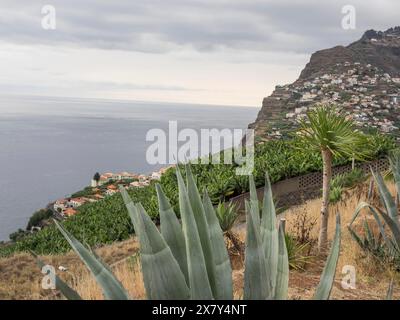 Fernsicht auf die Küstenhäuser eingebettet zwischen grünen Hügeln und dem Meer, Blick auf ein kleines Fischerdorf auf dem Hügel neben dem Meer, Madeira, Po Stockfoto