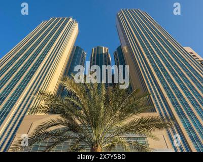 Imposante Wolkenkratzer umgeben eine Palme vor einem klaren blauen Himmel, moderne Wolkenkratzer mit Glasfassaden und vielen Fenstern, Abu dhabi, AR Stockfoto