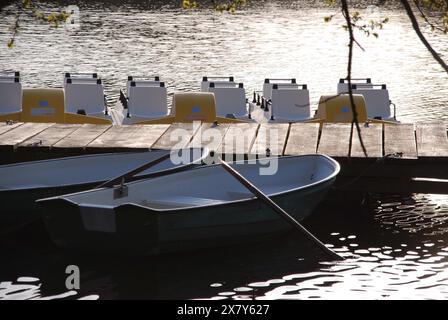 Holzsteg mit Ruderbooten im Vordergrund und Tretbooten im Hintergrund auf einem ruhigen See bei Sonnenuntergang, Ruderboote und Tretboote in einem kleinen W Stockfoto