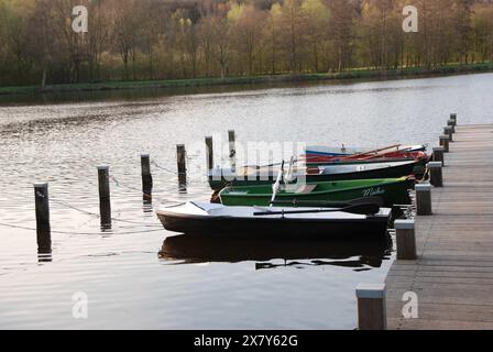 Mehrere kleine Boote liegen an einem Pier auf ruhigem Seewasser, umgeben von Quellbäumen, Ruderbooten und Tretbooten an einem kleinen Holzsteg im l Stockfoto